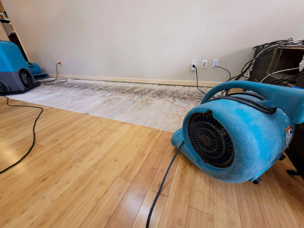 Professional Flood Damage Cleanup technician working in Westwood, KY
